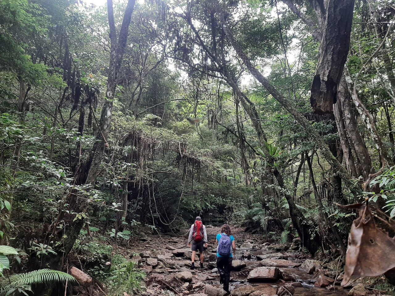 Ujung Kulon Tour